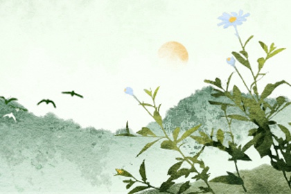 為什麼家裡不能放塔  實則利於學運與事業運