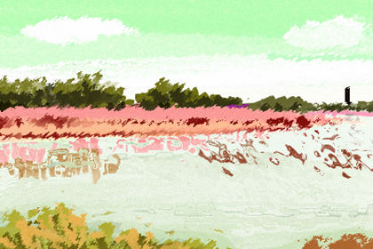 餐廳物品的風水講究？