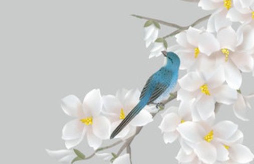 選車牌號有什麼講究嗎 風水選號可避凶禍