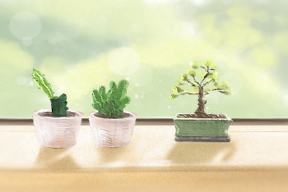 植物風水:門口適宜擺放的植物