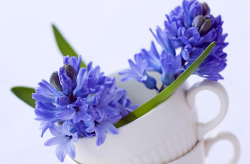 屬牛年月日時辰命運,幾點出生的屬牛人命好