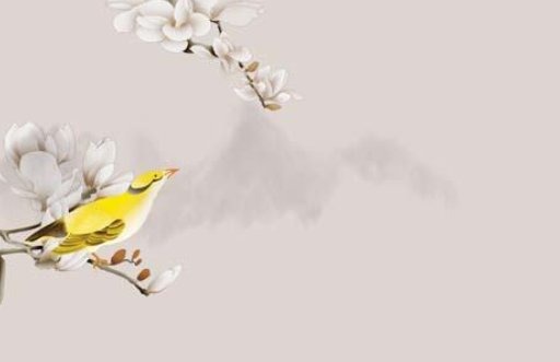 午時出生的女孩克父母嗎 適合從事醫生等行業