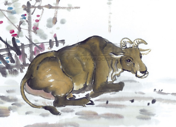 牛年出生的人一生命運怎麼樣