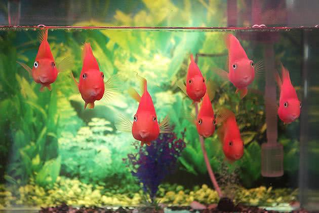 改變運勢的裝修技巧，值得收藏！