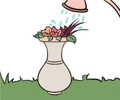 客廳鮮花擺放風水有哪些？