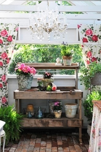 分享居家陽台旺風水、去煞氣的天然植物