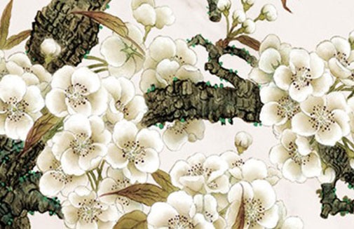 女人手機號不能有的數字 旺婚姻熱門手機靚號