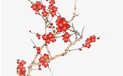 幾月份的牛是金牛 三月出生的寶寶一生富貴