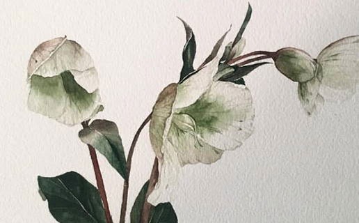 幾月份牛是破月 化解破月的方法有哪些