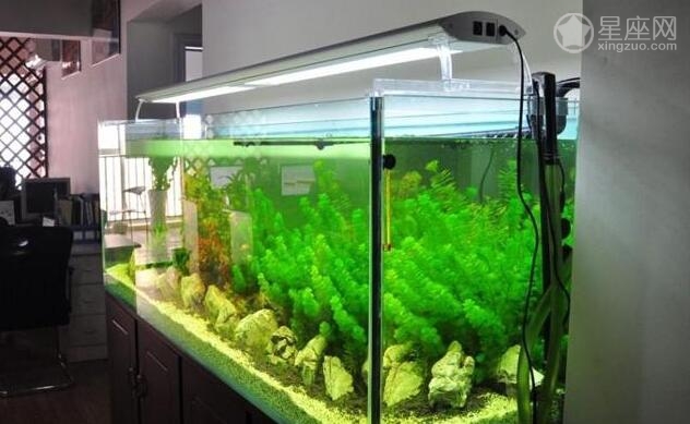 辦公桌上魚缸擺放風水