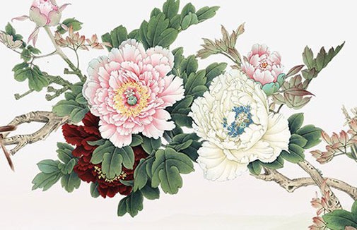 50選1都是爛號碼嗎 諧音吉祥的車牌號碼