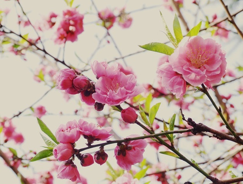 祝福你一生好運的家居風水