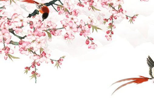 車牌什麼數字最吉利 財富大漲的車牌號