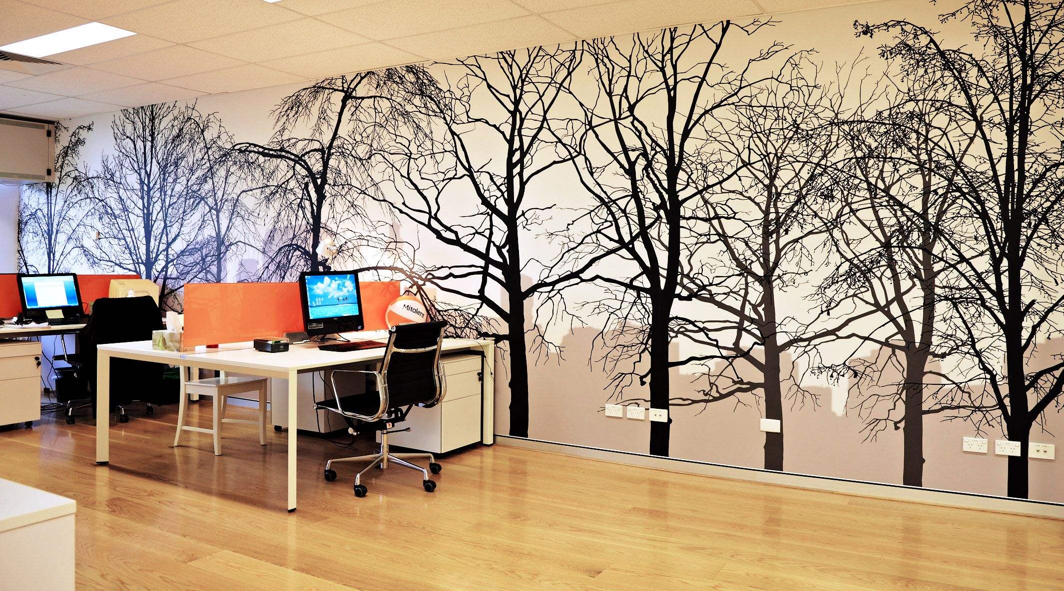 養殖吊蘭的風水禁忌你知道嗎？擺放需要注意些什麼？