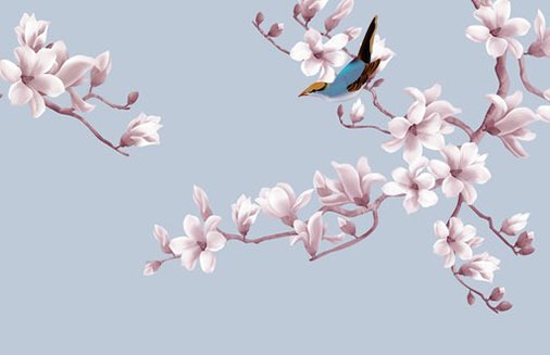 車牌尾號5代表什麼 帶運氣的招財牌號