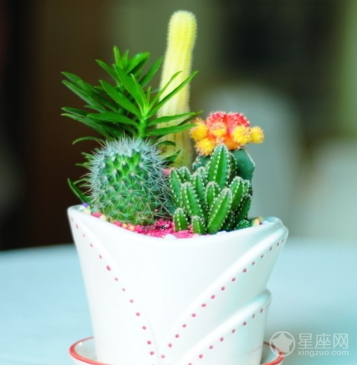 高升求職專用開運法