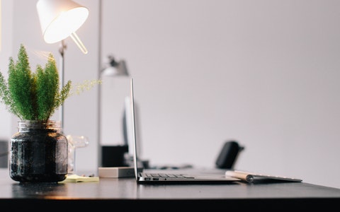 豬年升職加薪風水布局，獨家秘笈助你走上人生巔峰