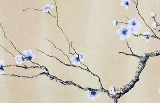 屬牛大暑出生好不好 性格反應