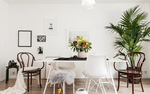 房子太暗住人有什麼影響？住到最後身體不好還沒錢