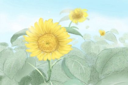 餐廳風水顏色，提升好運氣靠餐廳顏色