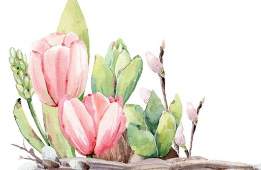 牛年出生的人幾點命最好,屬牛人最佳出生時辰