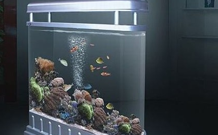 家居風水魚缸