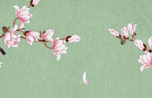 汽車選車牌號有什麼講究 旺運帶財的牌數