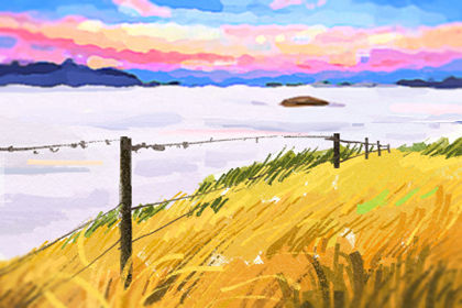 風水說:屬牛的裝修風格如何布局