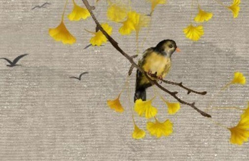 數字能量學1-9號人財運 吉利的車牌選號技巧