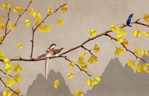 車牌號切忌選生日 車牌號申請選號看陰陽