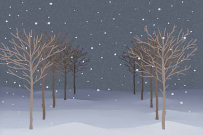 風水說:屬兔的裝修風水注意事項