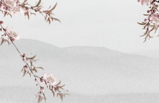 車牌號應該怎樣選才好 招財旺運的數字