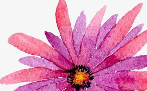 幾月份牛寶寶命運最好 農歷八月出生的屬牛人最有福氣