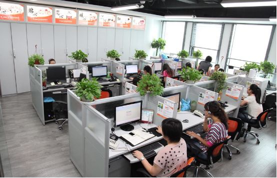 辦公室擺放榕樹盆景對運勢有什麼影響？