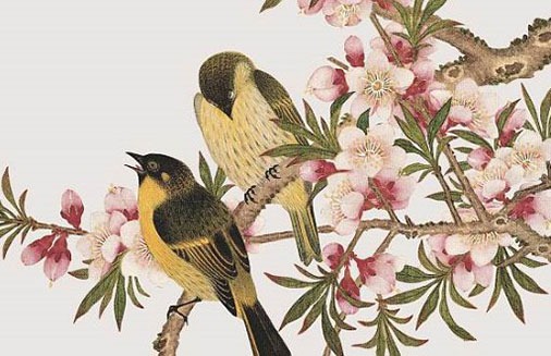 旺財的手機號碼有哪些 招財帶財的財富磁場