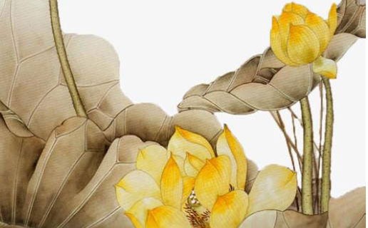 屬牛人午時出生女命運 屬牛女出生在什麼時辰好