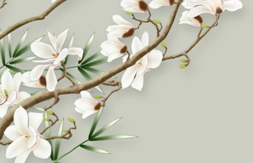 為什麼車牌尾數不要9 六六大順車牌號數字