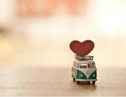 何種風水會招野桃花