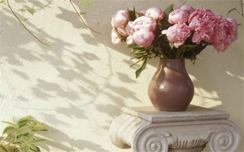 桃花位擺花瓶好嗎？注意根據方位選擇顏色