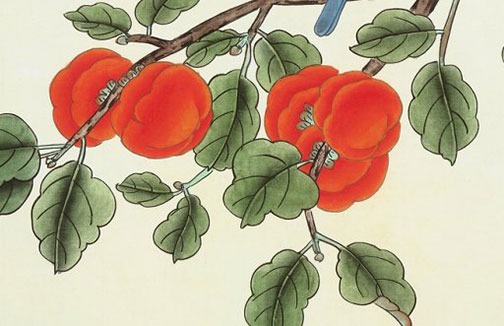 端午節出生的女孩好不好 端午6月份出生性格怎麼樣