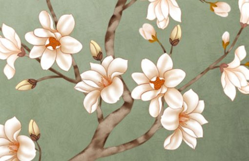 怎麼看車牌號好不好 正確選車牌號的方法