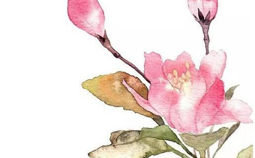 屬牛中午出生的女孩命運怎麼樣 午時出生的女生性格好不好