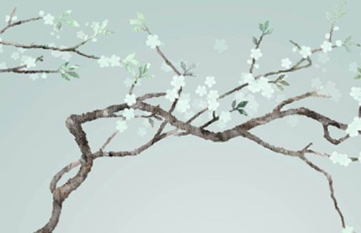 帶財運的手機尾號有哪些 守財旺運手機號