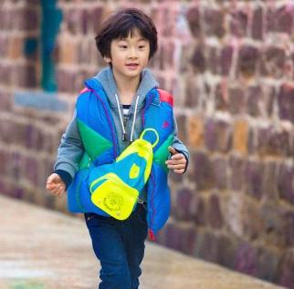 書房風水飾物幫你忙