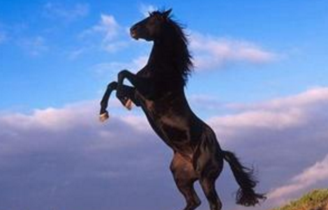 2016年事業風水3大忌