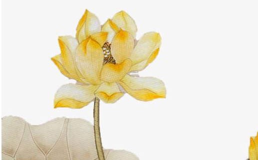 女孩午時好不好 45歲是午時出生的人大富年