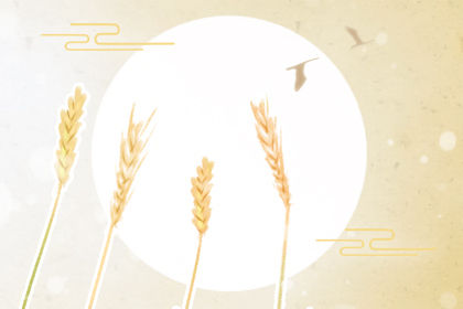 卧室中設置衛生間的講究