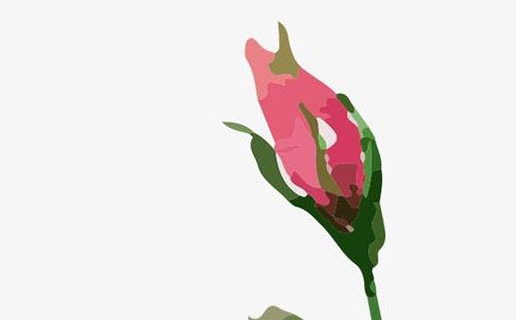 22年的虎寶寶幾月份好 幾月出生的虎寶寶最好命