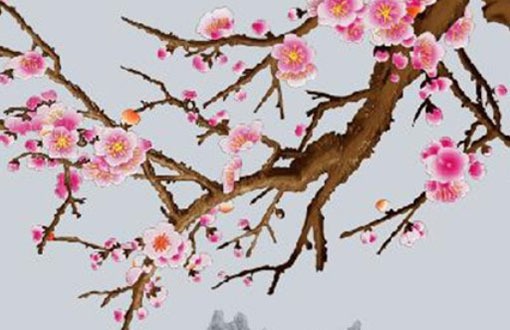 怎樣選車牌號碼最好 選號碼的講究詳解