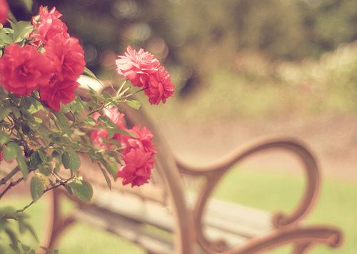 公司前台如何順應風水